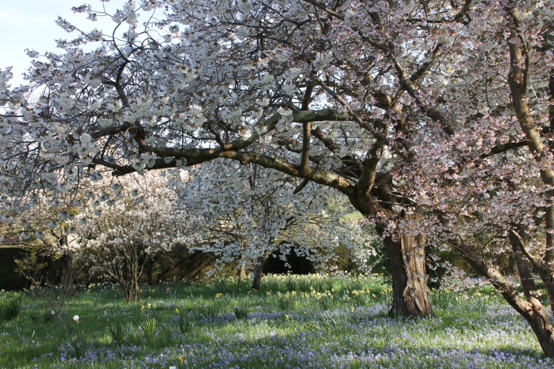 Bateman's Burwash NGS Gardens